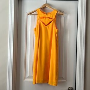 Gianni Bini brand new dress